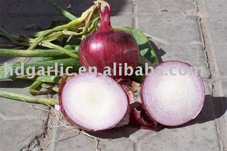 chinese fresh red onion