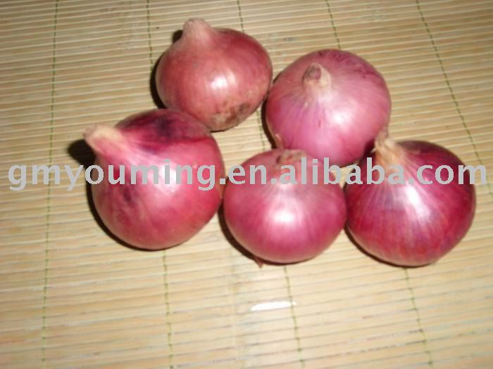 2011 Small Fresh Red Onion