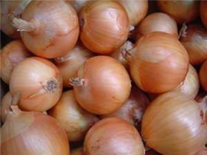 Fresh red onion, yellow onion