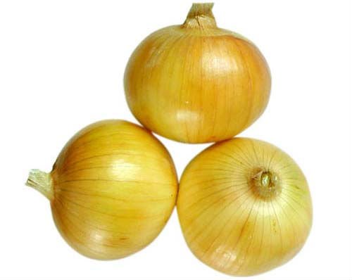 Yellow Onion