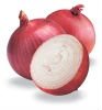 Fresh Dried Red Indian Onion