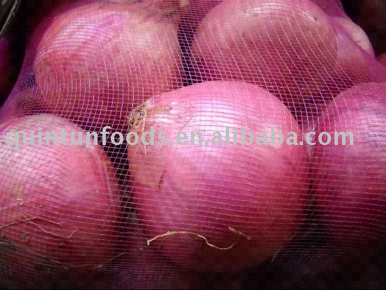 Fresh Red Onion