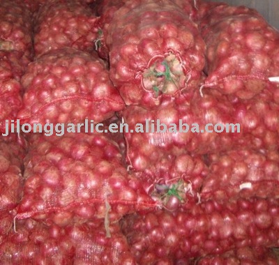 Fresh red Onion