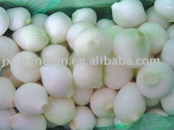 frsh onion