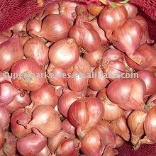 Shallot,Peeled(Yellow, red )  Skin   Onion 
