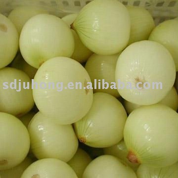 fresh yellow onion