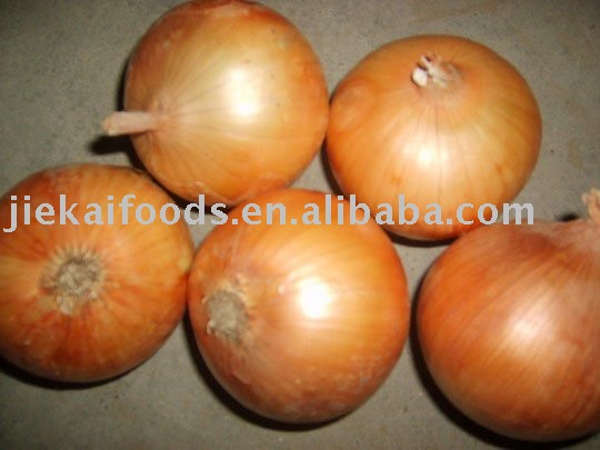 Fresh onions