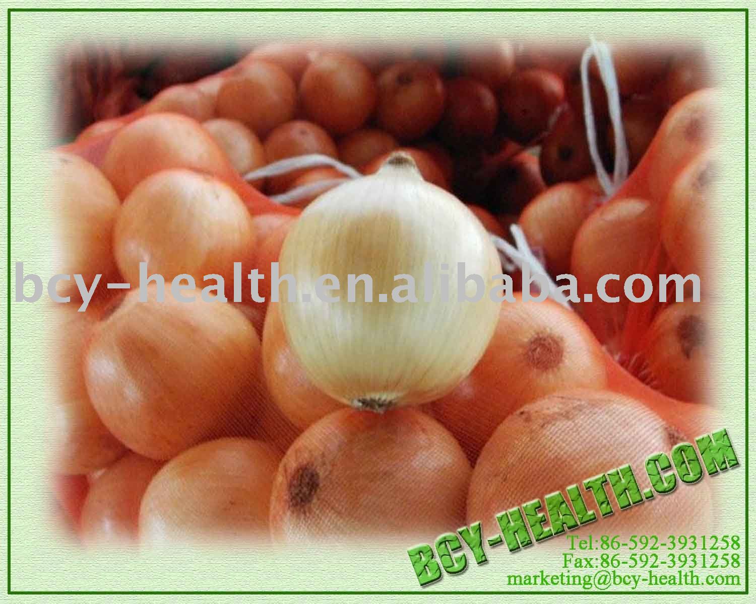 Fresh Onion