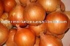 CHINA ONION