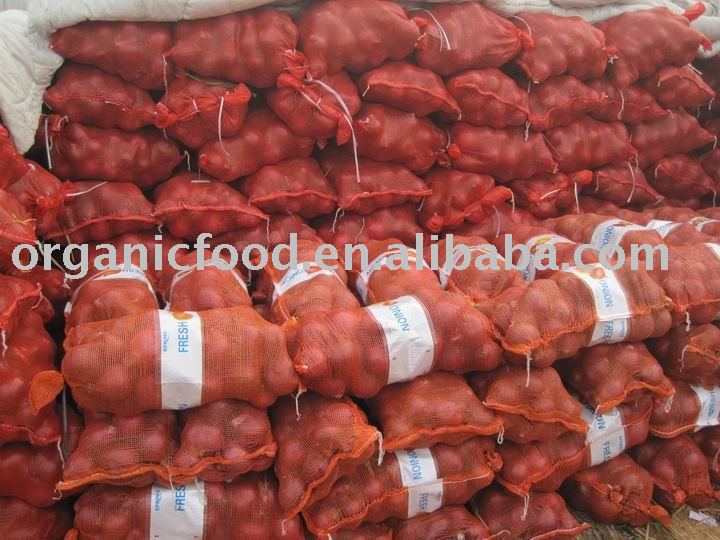 fresh red onion