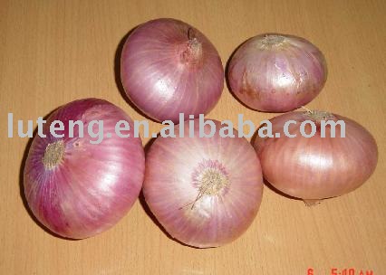 Fresh Onion