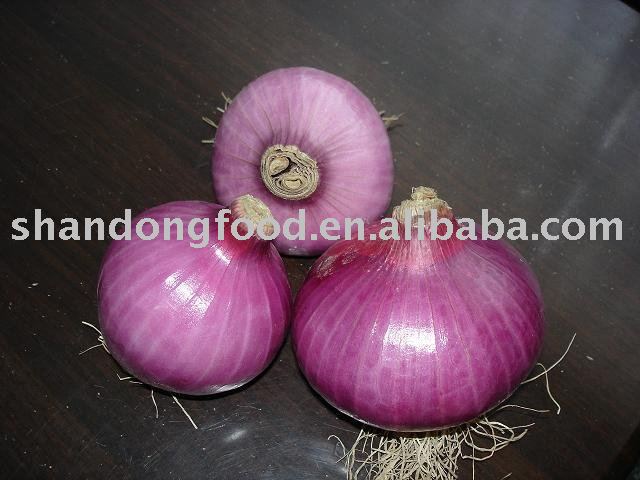 chinese fresh red  Onion