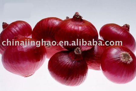 High Quality Fresh Yellow and Red Onion