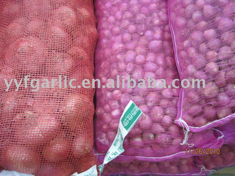 fresh red onion of China