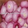 8cm fresh purple onion