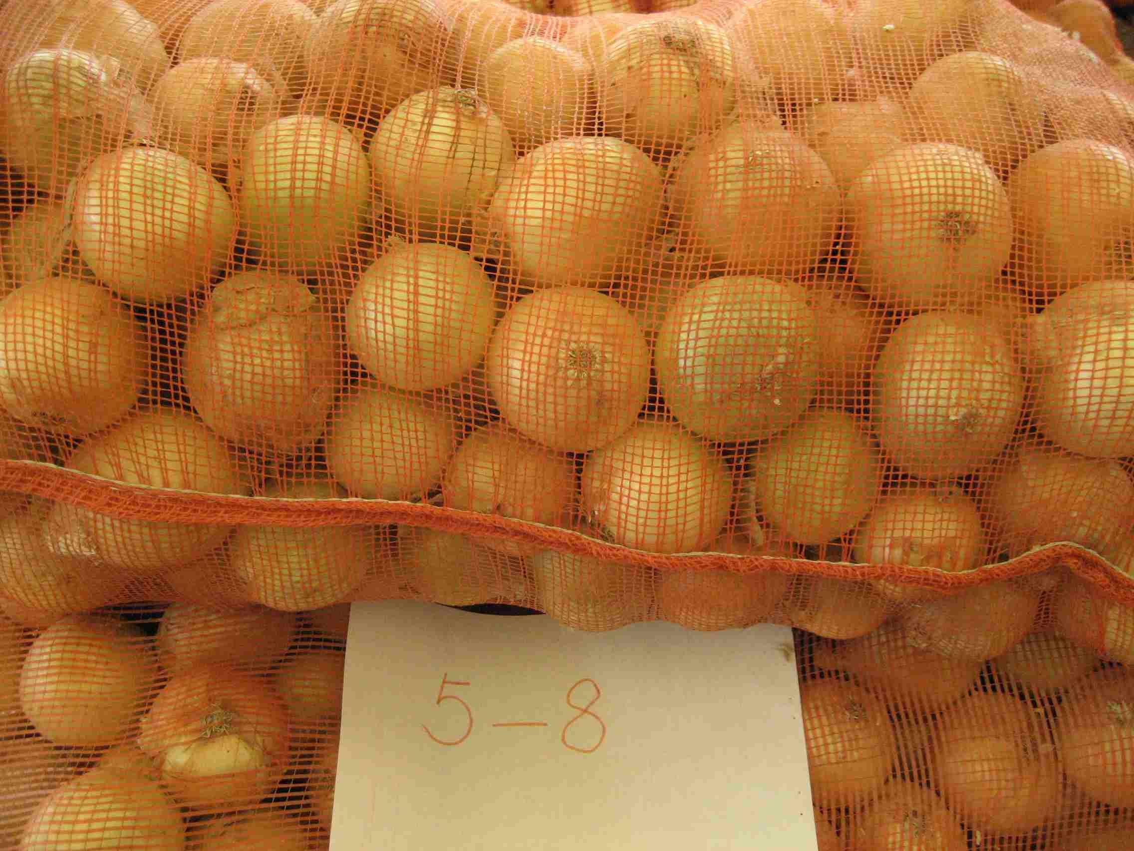 yellow onion