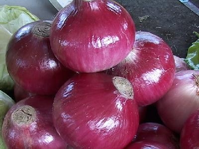 Red onion