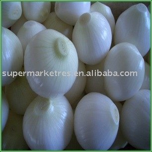 Onion