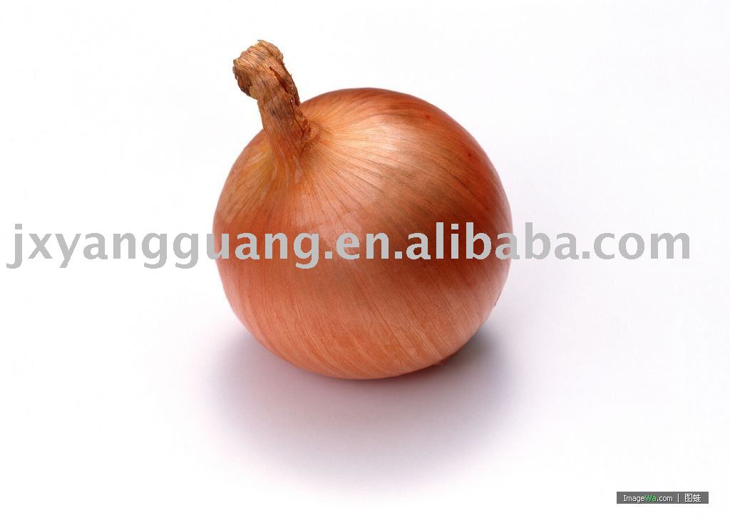 yellow onion
