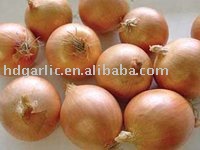2011 new yield fresh yellow onion