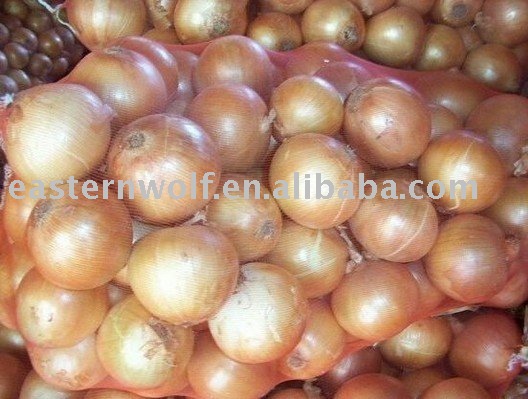 Latest Price Chinese Red Fresh Onion