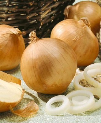 fresh onion