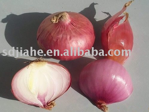 chinese red onion
