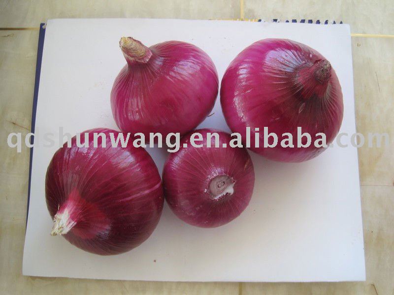 2011yunnan fresh farm red  onion 10cm