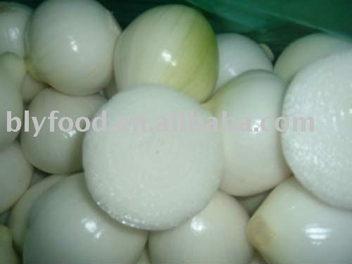 Onion