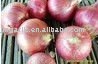 red onion