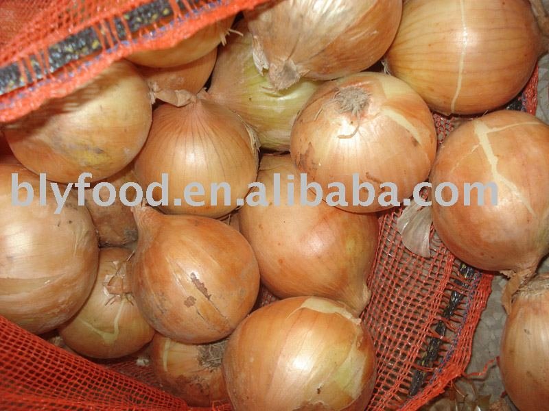 Chinese Onion