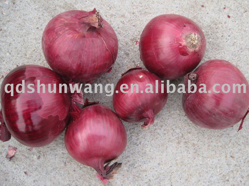 2011 yunnan fresh spring red onion 7cm