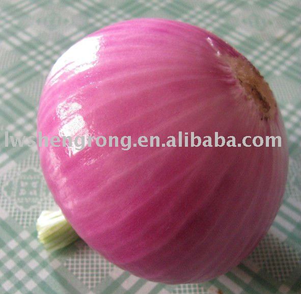 small  onion ,fresh  onion ,red  china   onion 