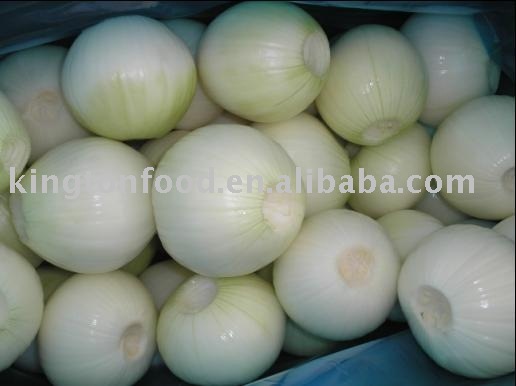 Fresh peeled onion