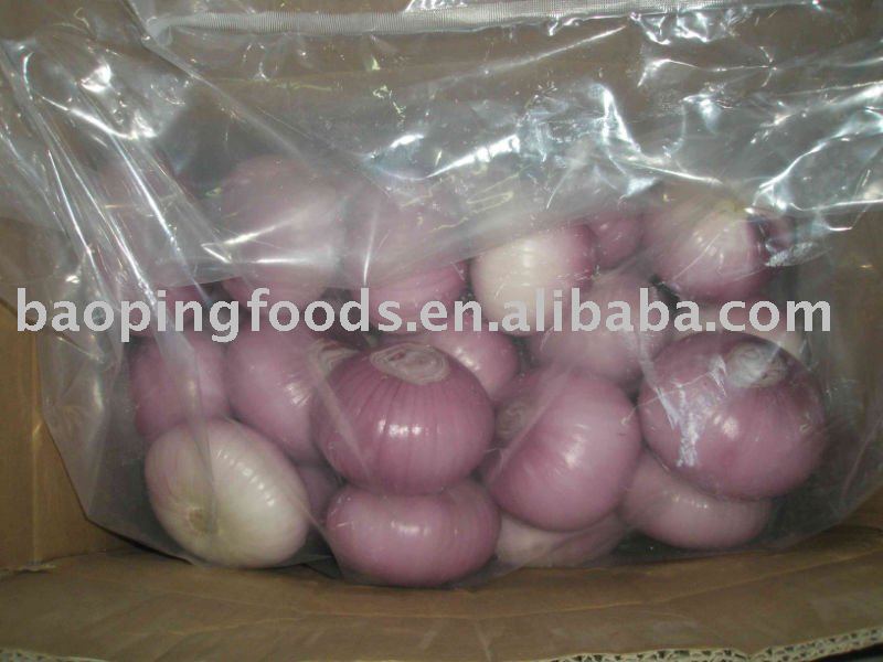 red peeled onion