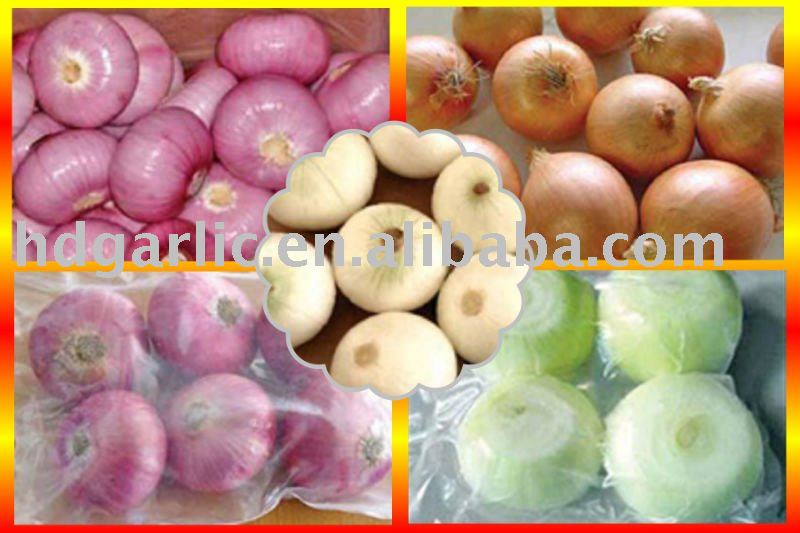 2011 new yield fresh small yellow onion