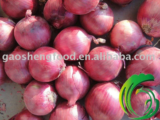 chinese red onion