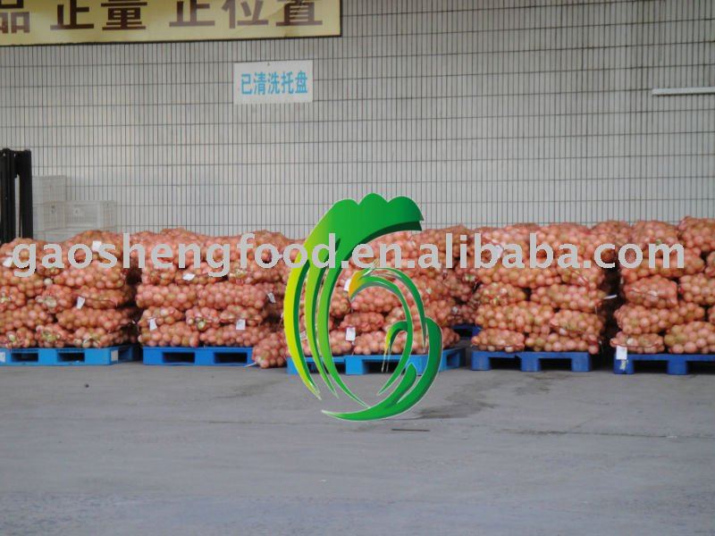 chinese fresh yellow onion in 20kg mesh bag