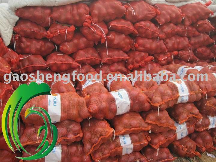 chinese fresh red 5-7cm onion