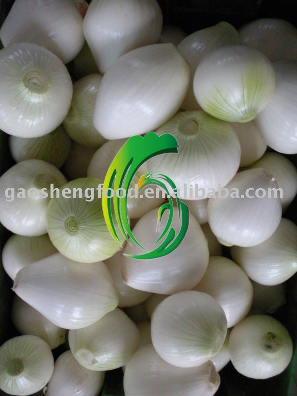 fresh peeled onion