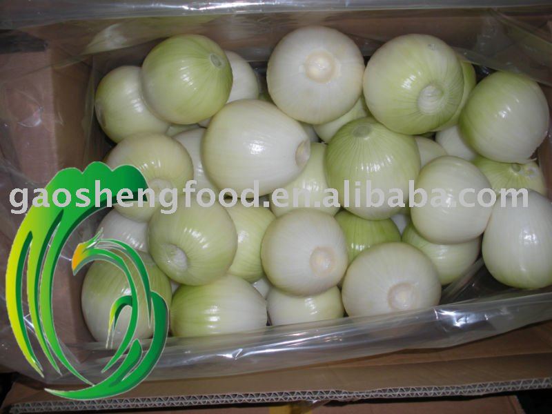 fresh round onion