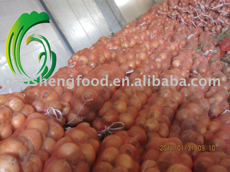 fresh 5-7cm yellow onion
