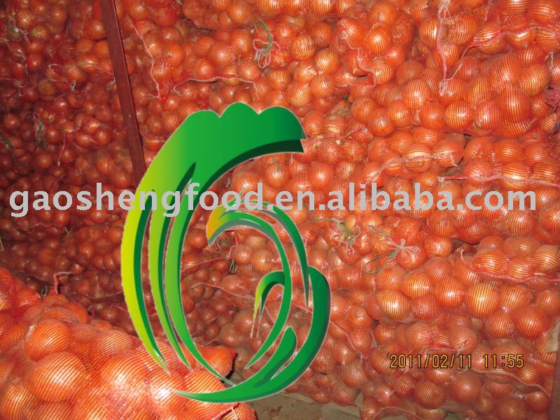 fresh  non-peeled onion