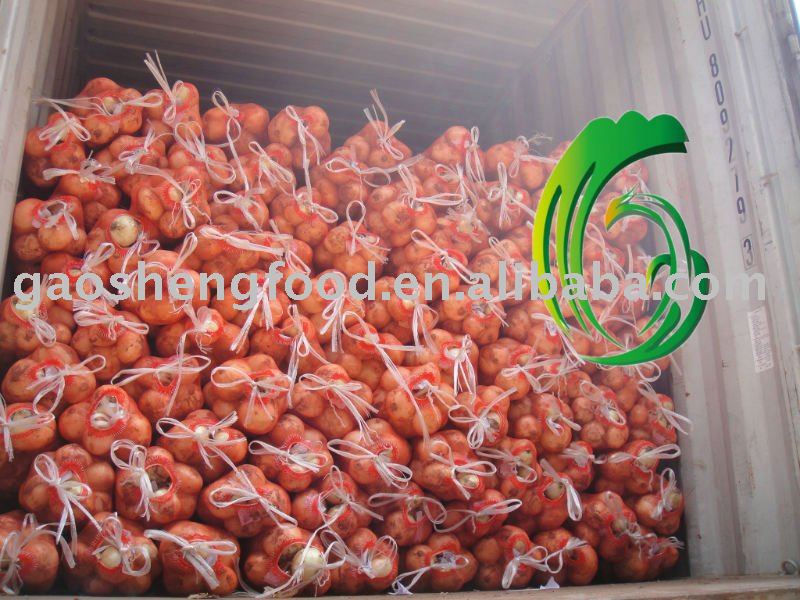 fresh yunnan yellow onion