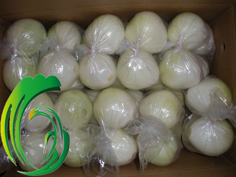 supply fresh yellow onion