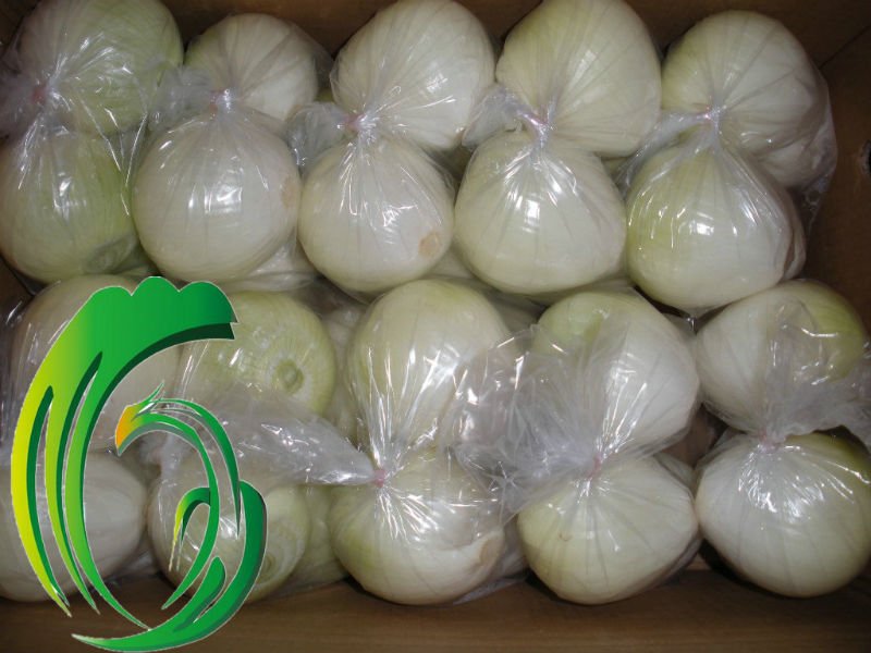 fresh peeled onion supplier