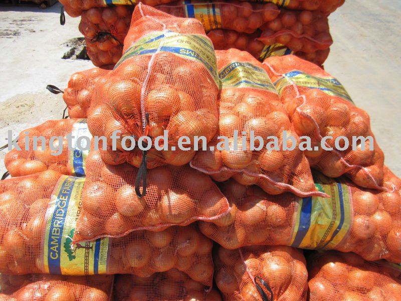 fresh gansu yellow onion