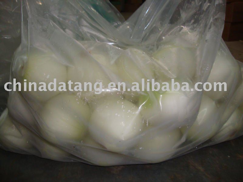 high quality fresh yellow onion