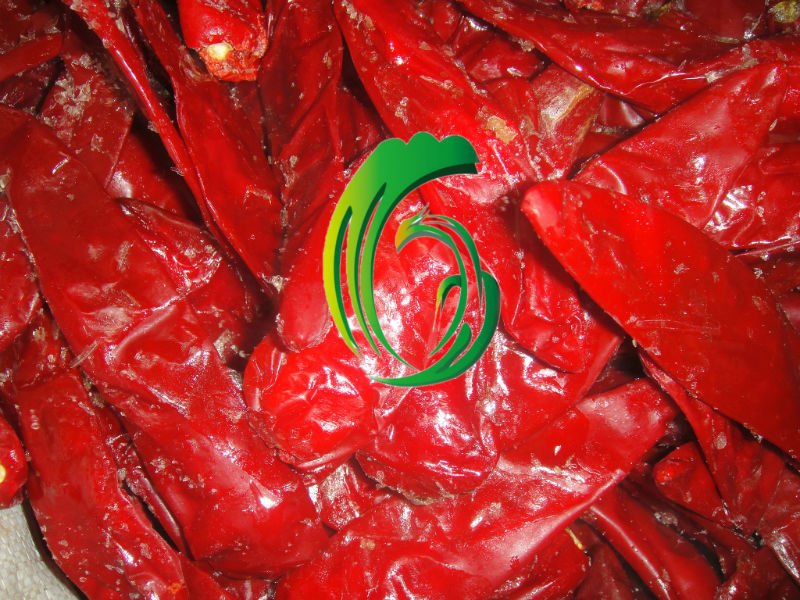 chinese red chilli