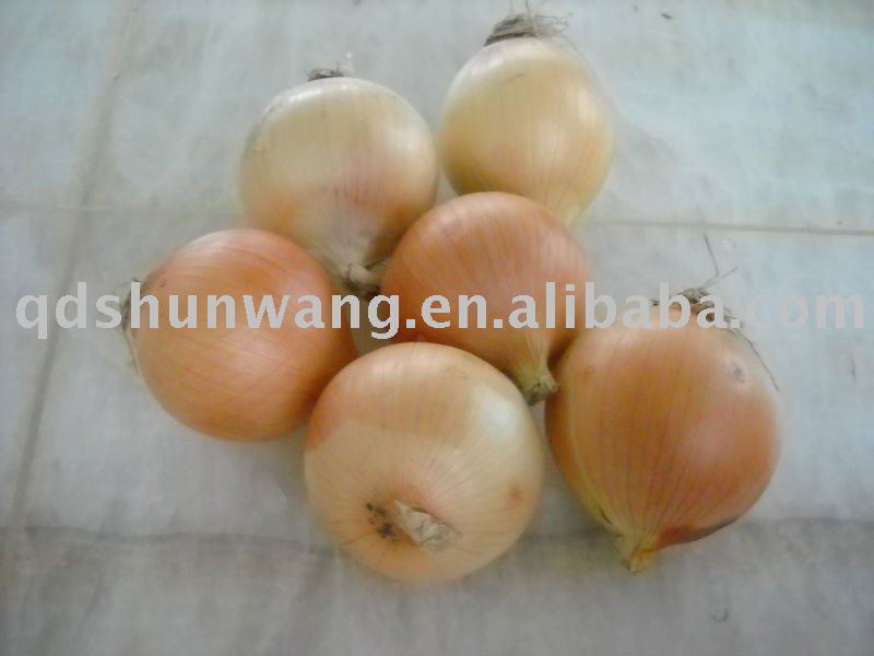 green food health onion